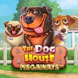 The Dog House Megaways gra w Faststone Casino dla graczy z Polski