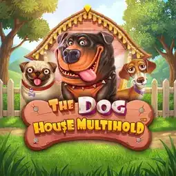The Dog House Multihold gra w Faststone Casino dla graczy z Polski